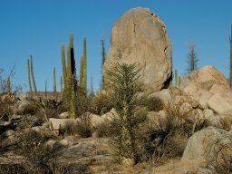 USA_Mexico2006-2007-054